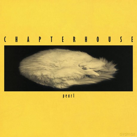 Chapterhouse: Chapterhouse-Pearl -12"- Col- [Winyl]