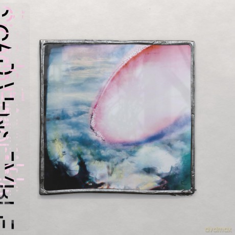 Cicada Ensemble-Murmuration Clip: Cicada Ensemble-Murmuration Clip [Winyl]