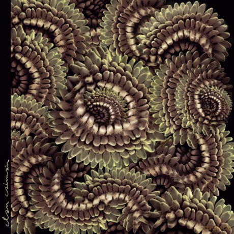 Clan Caimán-Pica Pau: Clan Caimán-Pica Pau [Winyl]
