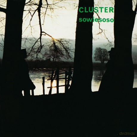 Cluster: Cluster-Sowiesoso [Winyl]