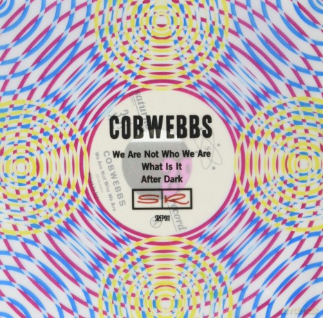 Cobwebbs: Cobwebbs - We Are Not Who We Are (7 Single) [Winyl]