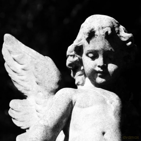 Cold Cave-Passion Depression (Black Glitter Vinyl): Cold Cave-Passion Depression (Black Glitter) [Winyl]