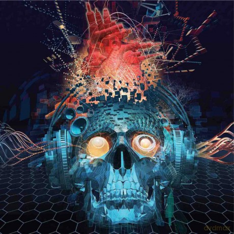 Papa Roach: Connection The (Dark Blue) [Winyl]