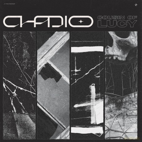 Chadio: Cousin Of Lucy [Winyl]