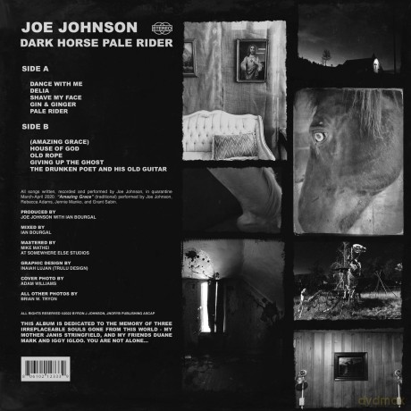 Johnson Joe: Dark Horse Pale Rider [Winyl]