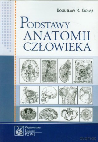 Podstawy anatomii człowieka. podręcznik. dla studentów [KSIĄŻKA]