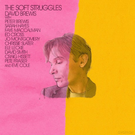 David Brewis-The Soft Struggles: David Brewis-The Soft Struggles [Winyl]