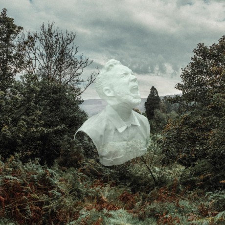 David C Clements-The Garden: David C Clements-The Garden [Winyl]