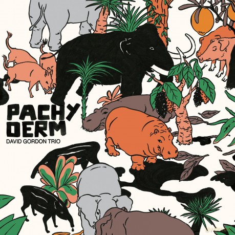 David Gordon Trio-Pachyderm: David Gordon Trio-Pachyderm [Winyl]