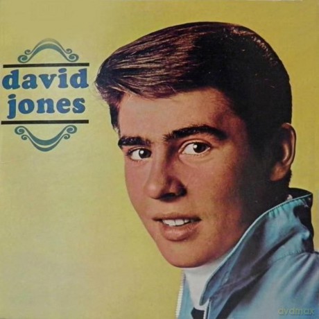 Davy Jones: David Jones [Winyl]