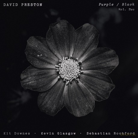 David Preston-Volume 2 - Purple: David Preston-Volume 2 - Purple/Black [Winyl]