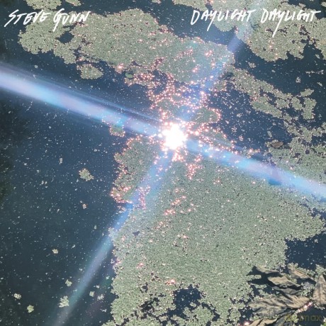 Gunn Steve: Daylight Daylight [Winyl]