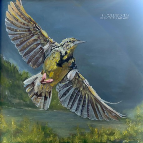 Wildwoods: Dear Meadowlark [Winyl]