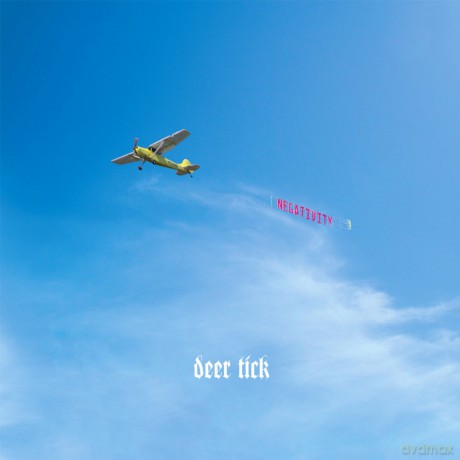 Deer Tick-Negativity: Deer Tick-Negativity [2xWinyl]