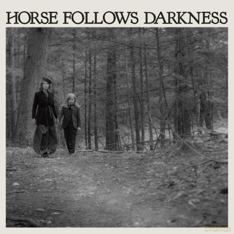 Delia Gonzalez-Horse Follows Darkness: Delia Gonzalez-Horse Follows Darkness [Winyl]