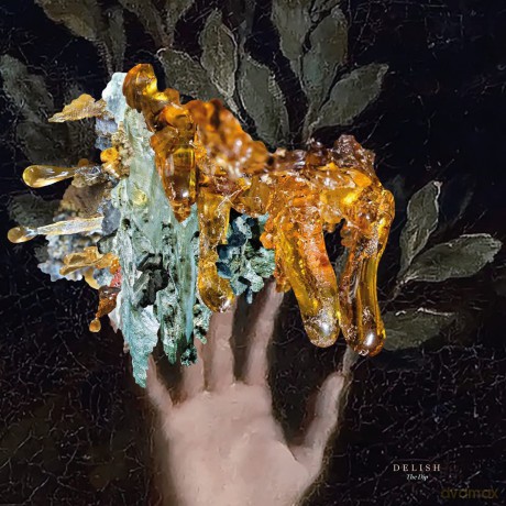 Delish-The Dip (Orange Vinyl): Delish-The Dip (Orange) [Winyl]