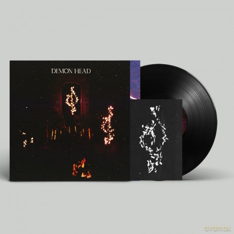 Demon Head-Through Holes Shine The Stars: Demon Head-Through Holes Shine the Stars [Winyl]