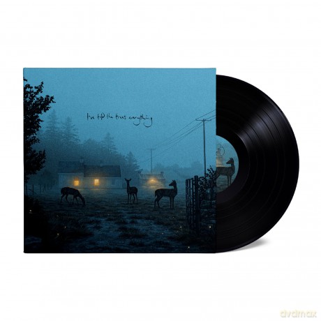 Dermot Kennedy-I've Told The Trees Everything: Dermot Kennedy-I've told the trees everything [Winyl]