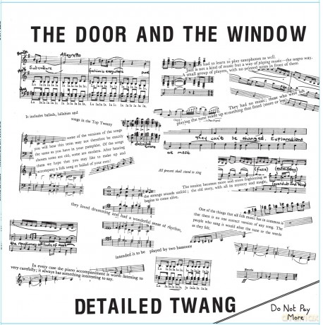 The Door And Window: Detailed Twang [Winyl]
