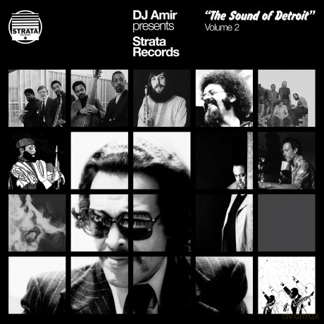 Dj Amir: Dj Amir Presents Strata Records: Sound Of Detroit [3xWinyl]