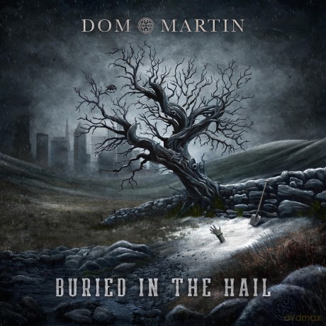 Dom Martin-Buried In The Hail: Dom Martin-Buried In The Hail [Winyl]