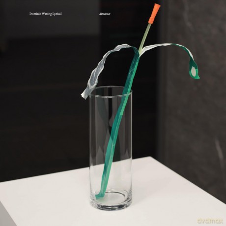 Dominic Waxing Lyrical-Diminuet: Dominic Waxing Lyrical-Diminuet [Winyl]