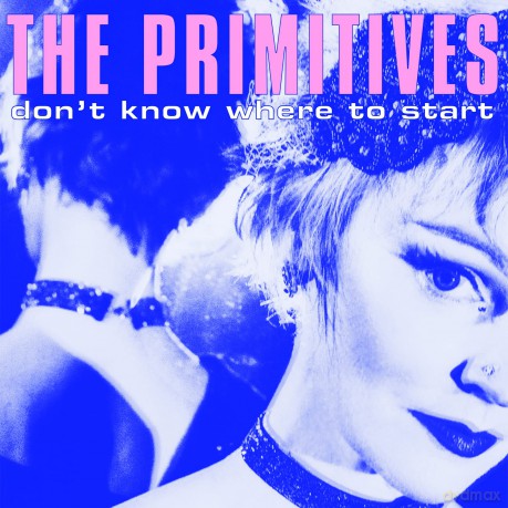 The Primitives: Don't Know Where To Start [Winyl]
