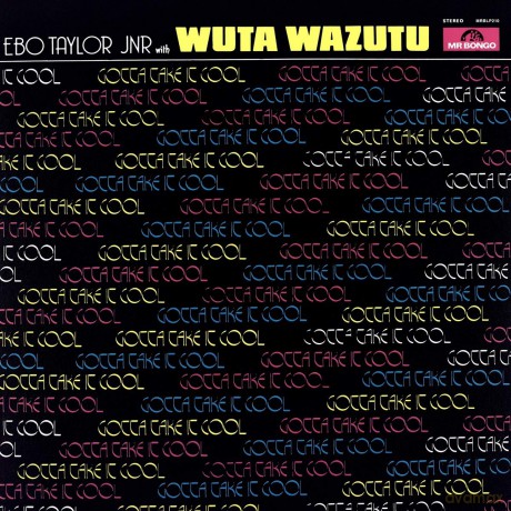 Ebo Taylor Jnr With Wuta Wazuta: Ebo Taylor Jnr With Wuta Wazuta-Gotta Take... [Winyl]