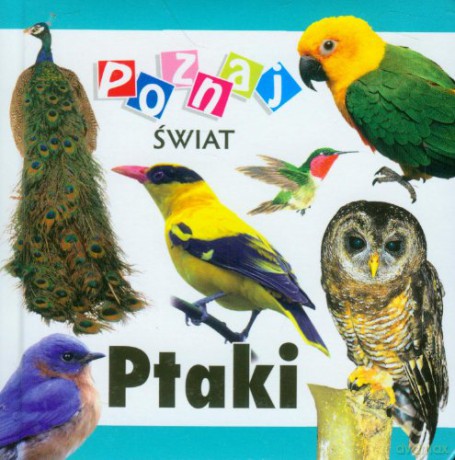 Poznaj świat - Ptaki [KSIĄŻKA]