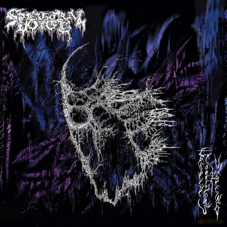 Spectral Voice: Eroded Corridors Of Unbeing [Winyl]