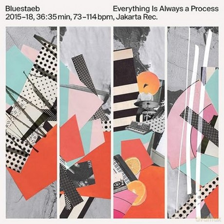 Bluestaeb: Everything Is Always A Process [Winyl]