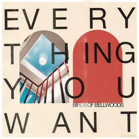 Birds Of Bellwoods: Everything You Want - Bone Color [Winyl]