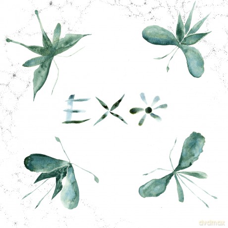 Exo-Exo: Exo-Exo [Winyl]