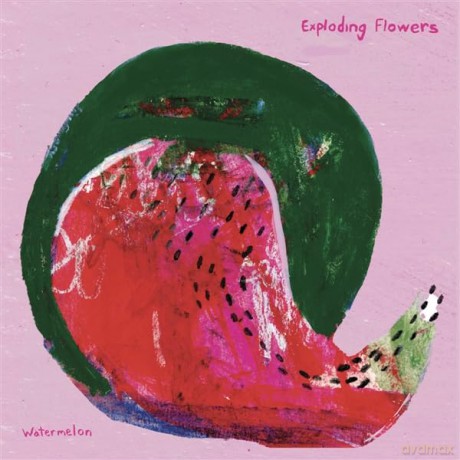 Exploding Flowers-Watermelon: Exploding Flowers-Watermelon/Peacock [Winyl]