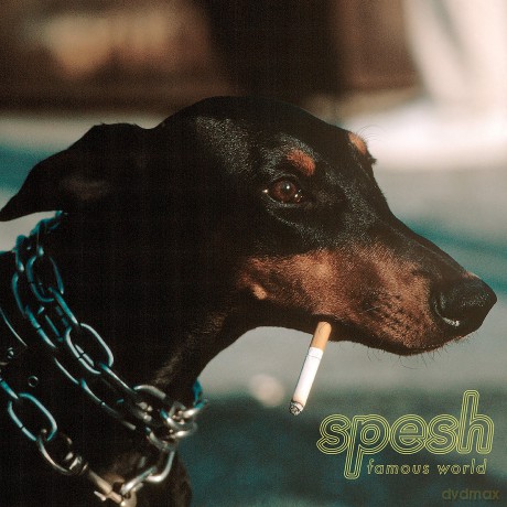 Spesh: Famous World [Winyl]