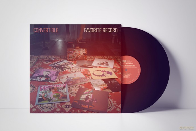 Convertible: Favorite Record [Winyl]
