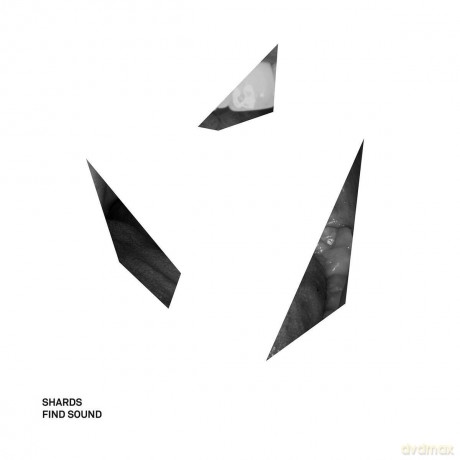 Shards: Find Sound [Winyl]