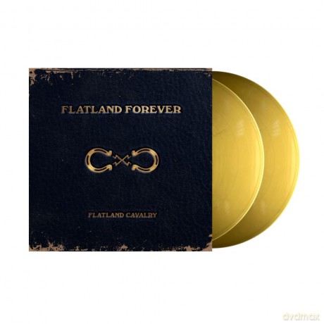 Flatland Cavalry: Flatland Forever [2xWinyl]