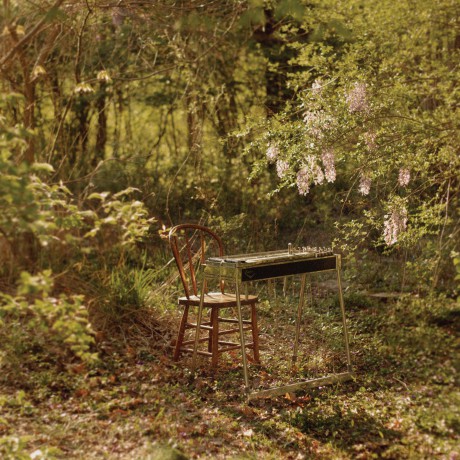 Schneider Luke: For Dancing In Quiet Light [Winyl]