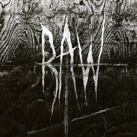 Raw: From The First Glass To The Grave [Winyl]