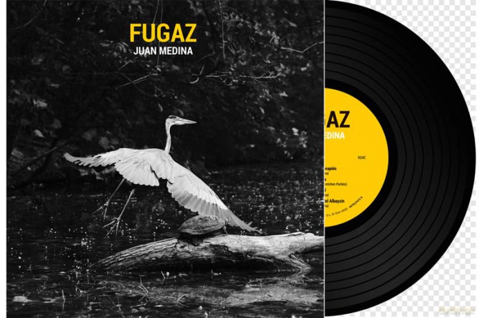 Medina Juan: Fugaz [Winyl]