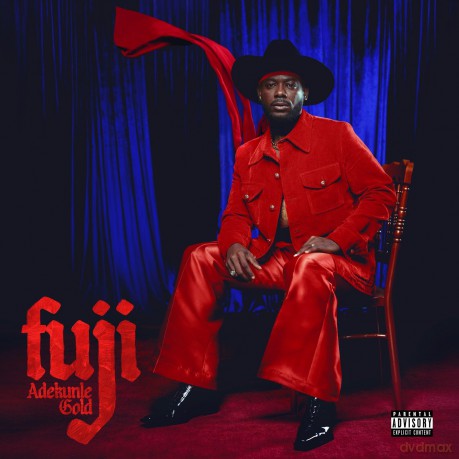 Gold Adekunle: Fuji [Winyl]