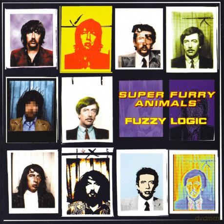 Super Furry Animals: Fuzzy Logic [Winyl]