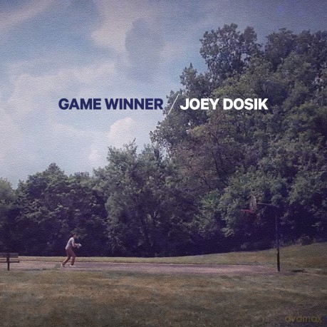 Dosik Joey: Game Winner [Winyl]
