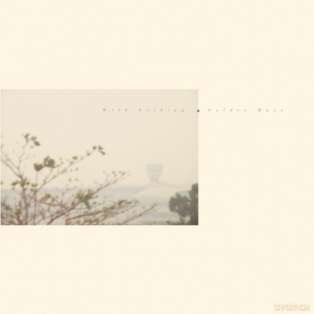 Wild Nothing: Golden Haze (Golden Haze) [Winyl]
