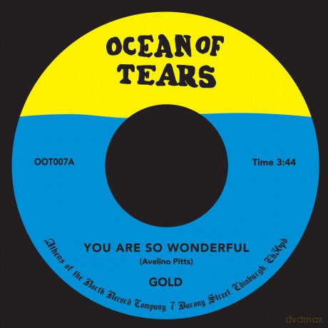 Gold-You Are So Wonderful: Gold-You Are So Wonderful [Winyl]