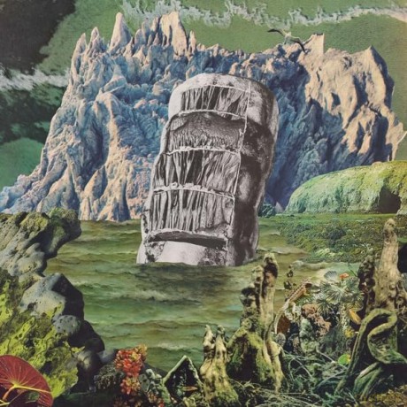 Goncalo F. Cardoso-Exotic Immensity: Goncalo F. Cardoso-Exotic Immensity [2xWinyl]
