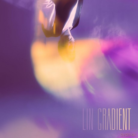 Lin: Gradient [Winyl]