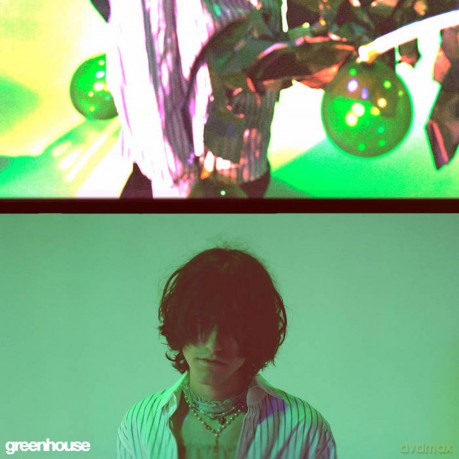 Aldn: Greenhouse - Green [Winyl]