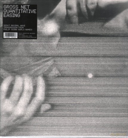 Gross Net-Quantitative Easing: Gross Net-Quantitative Easing [Winyl]